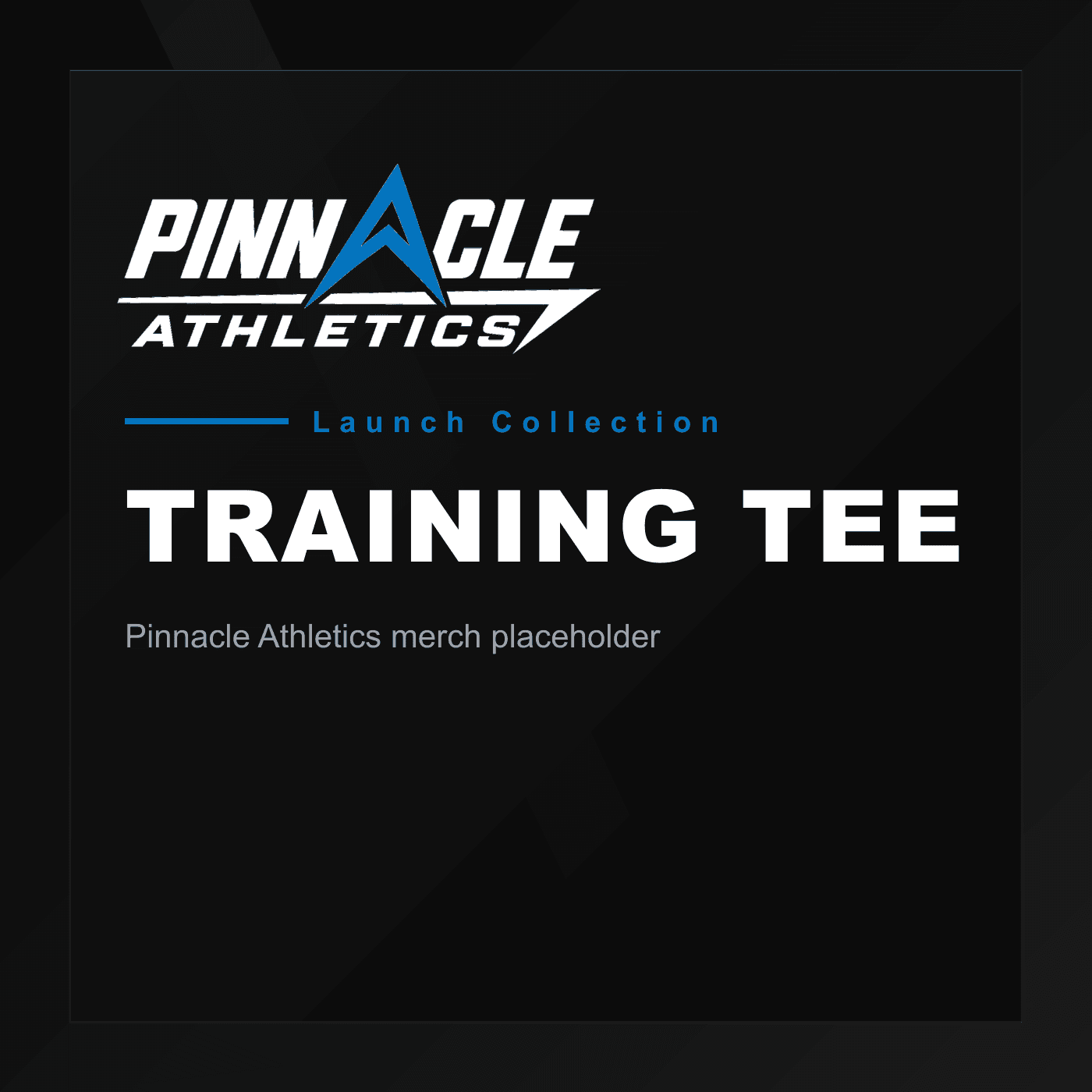 Pinnacle Athletics training tee alternate product view